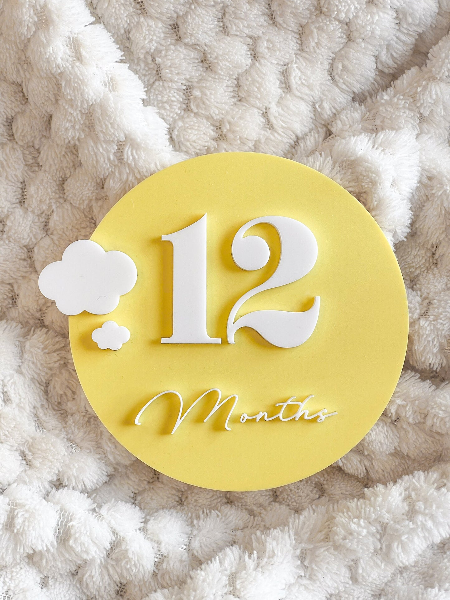 Colorful Monthly Baby Milestone Plaques | Baby Photo | Baby Shower Gift | Interchangeable | Acrylic