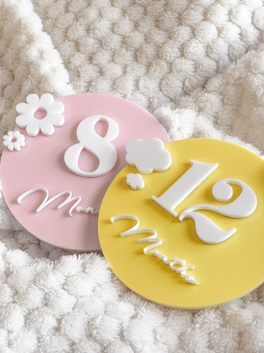 Colorful Monthly Baby Milestone Plaques | Baby Photo | Baby Shower Gift | Interchangeable | Acrylic